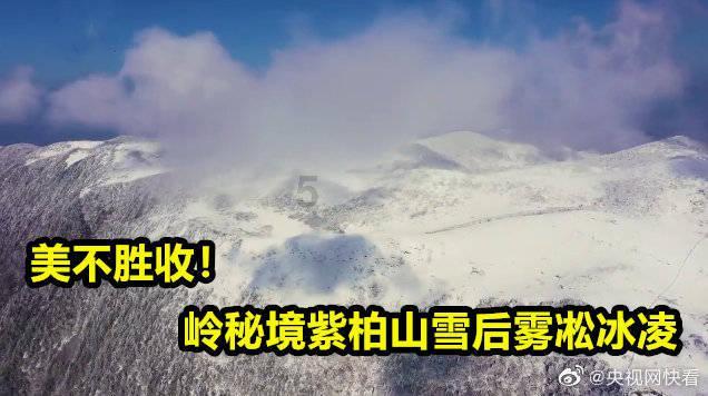 美妙圣诞节拼图