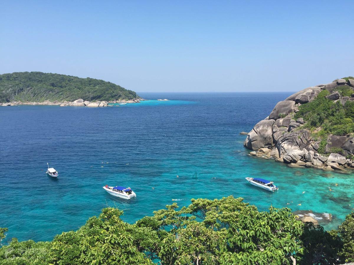 沪江开心词场