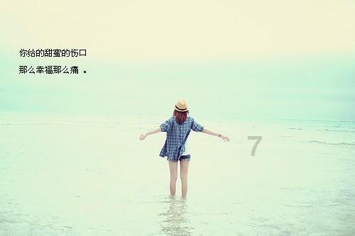 88影视