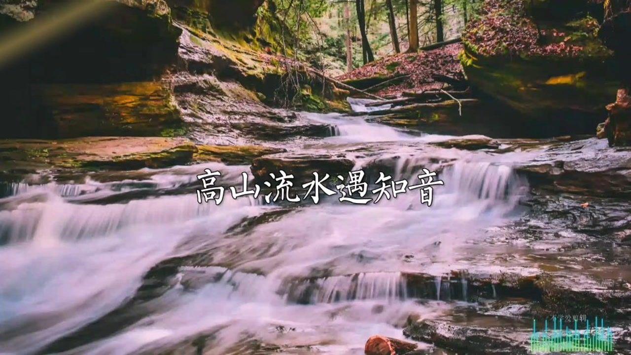 充分发挥中医药独特优势 加快推进“健康衡水”建设