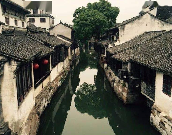 燕麦片别总泡着吃，加4个鸡蛋，这样做比馅饼都好吃，出锅就扫光游戏画面